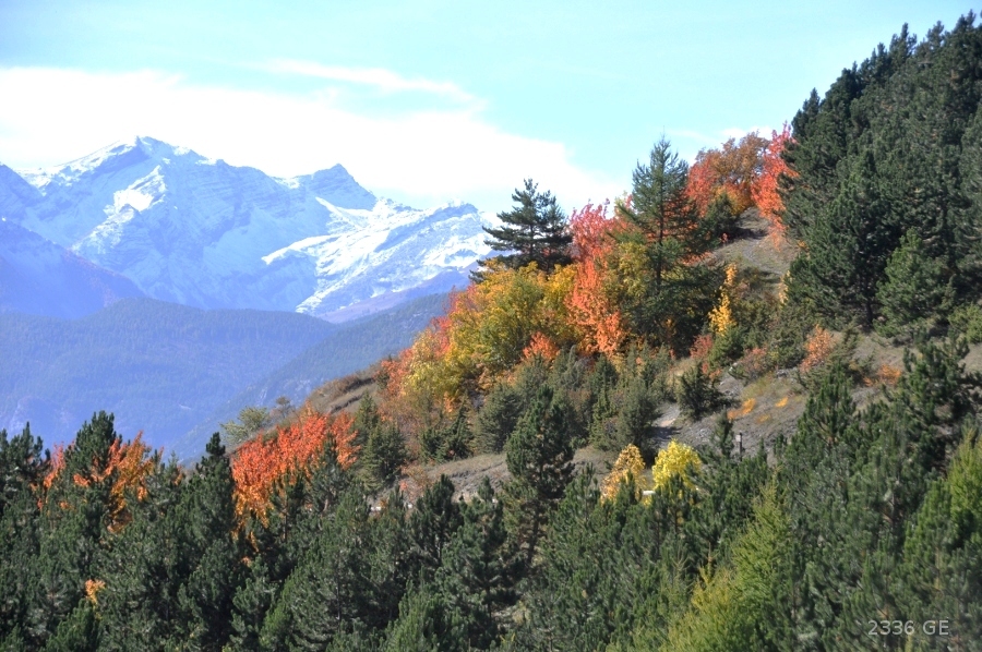 alpes automnales